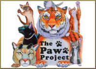 support the paws