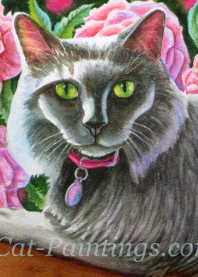 Cat Portrait Commision of Gracie